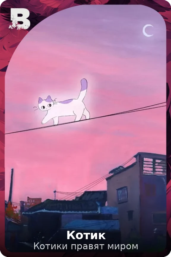 Котик