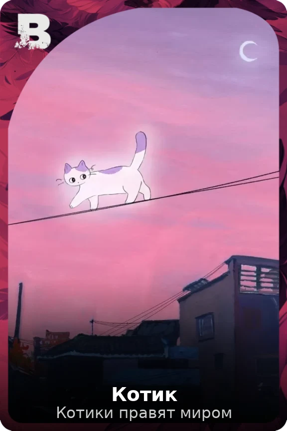 Котик