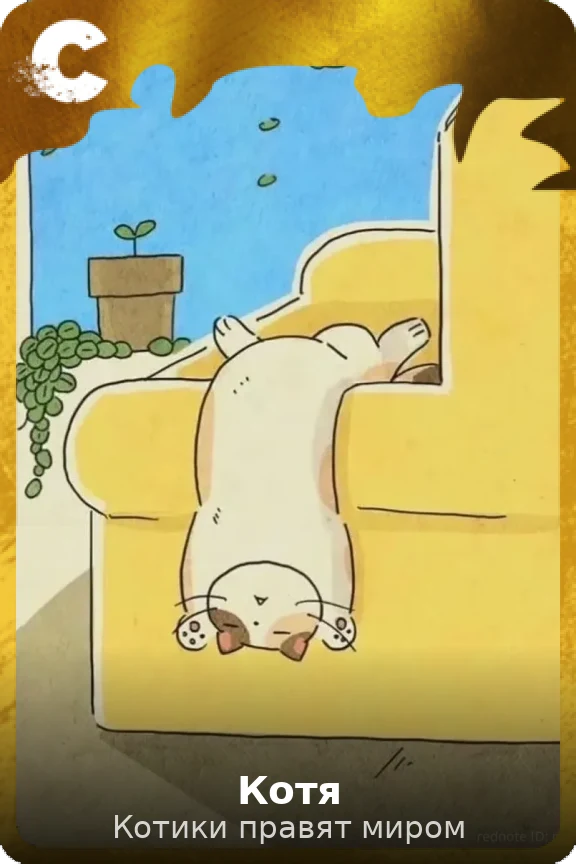 Котя