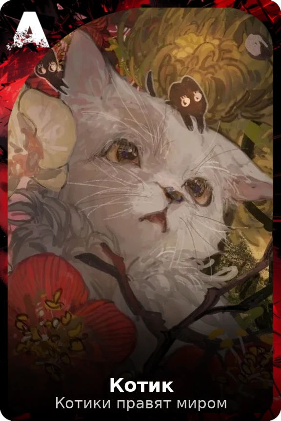 Котик