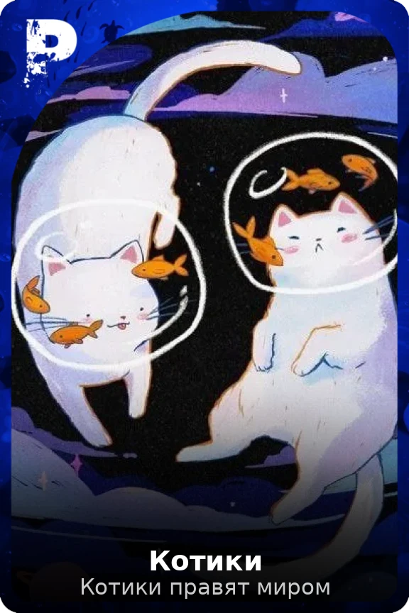 Котики