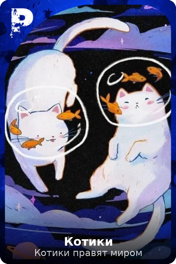 Котики