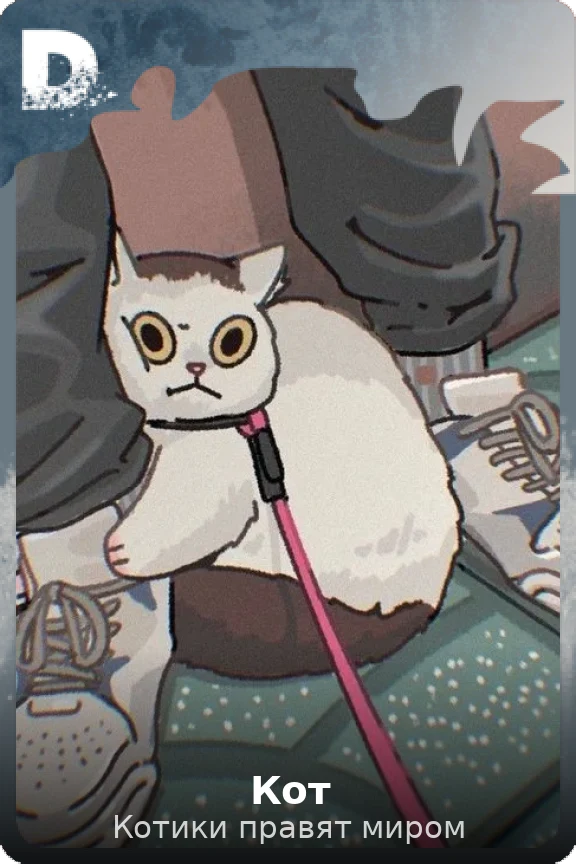 Кот