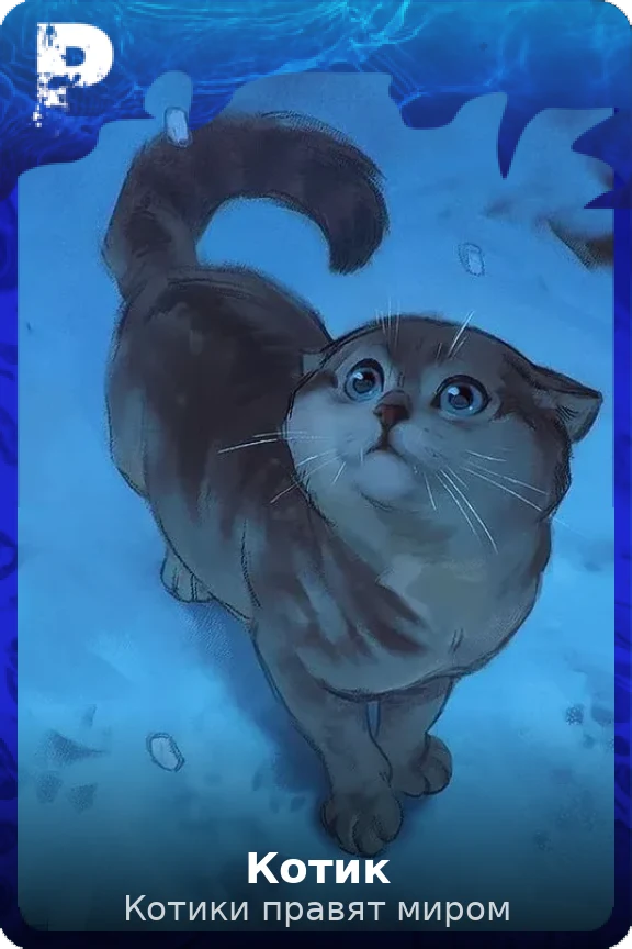 Котик