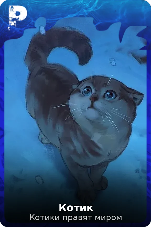 Котик