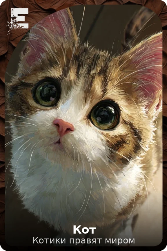 Кот