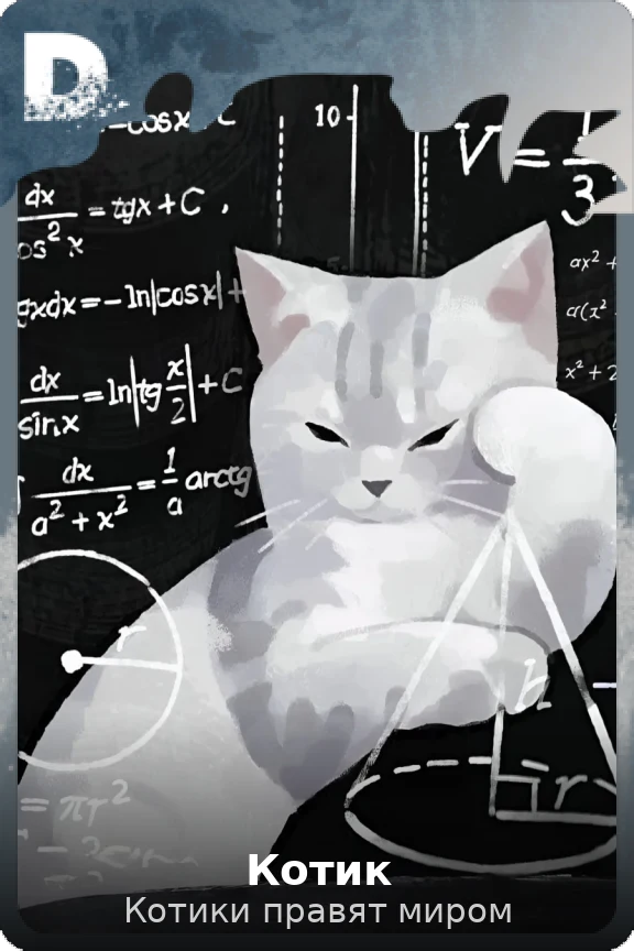 Котик