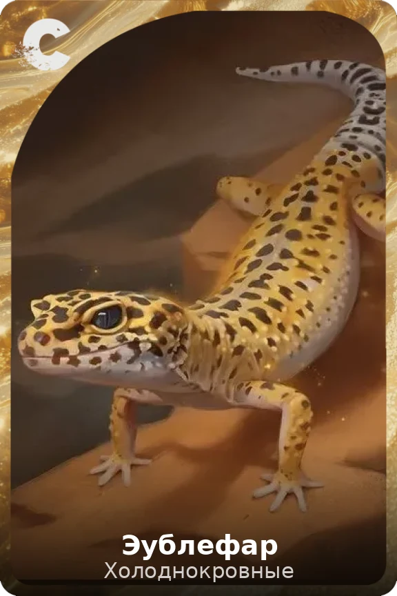 Эублефар