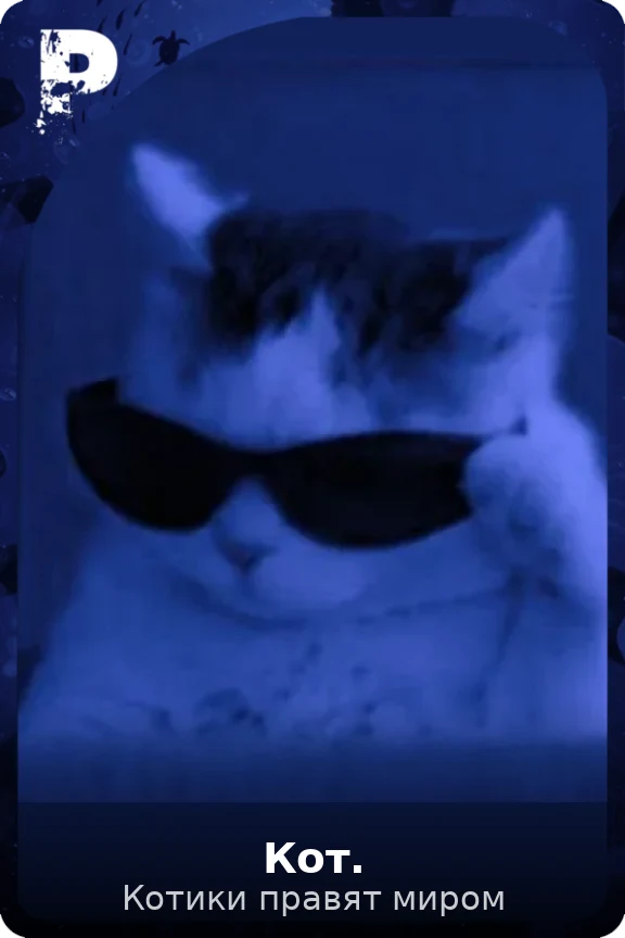 Кот.