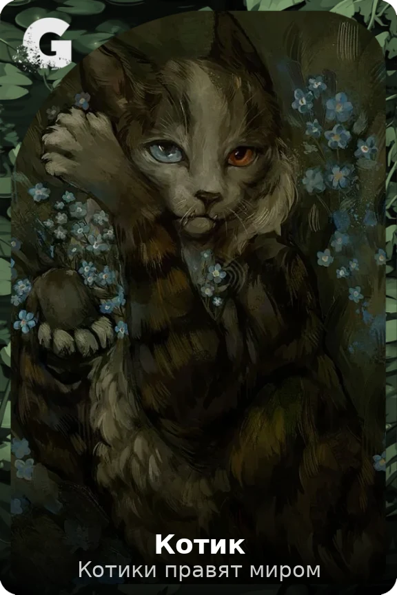 Котик