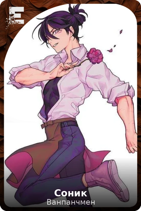 Соник