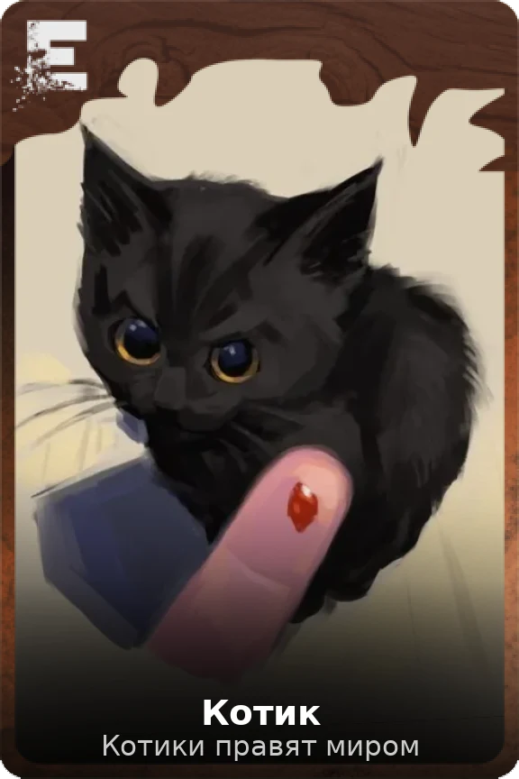 Котик