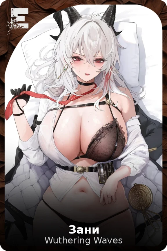 Зани
