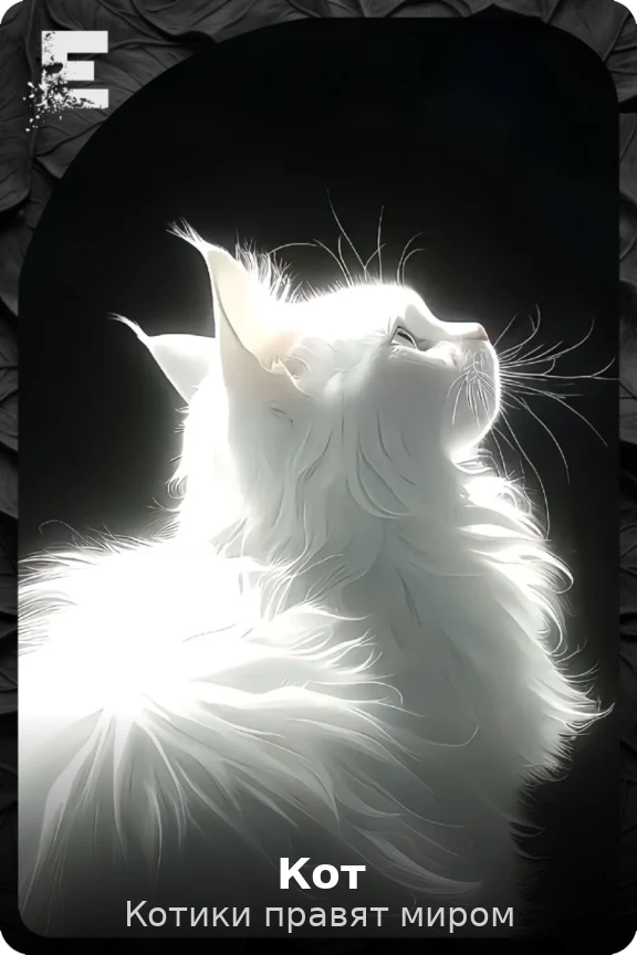 Кот