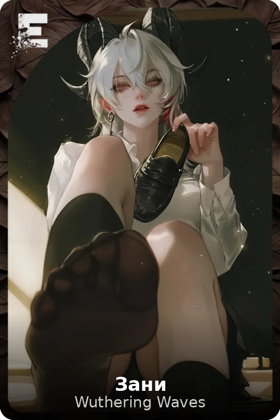 Зани