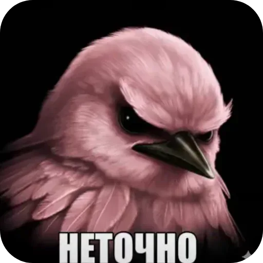 Стикер
